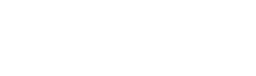 logo parookaville