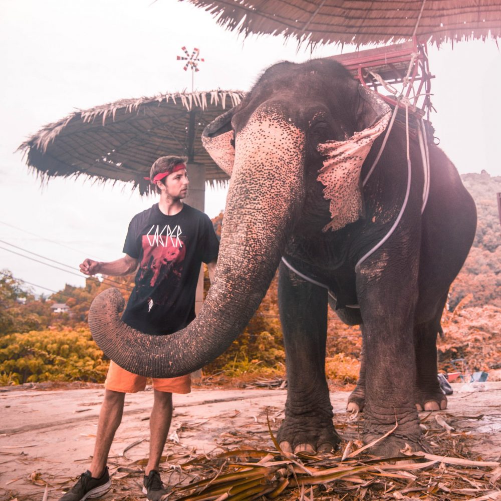 wecamzpage (37 von 662)