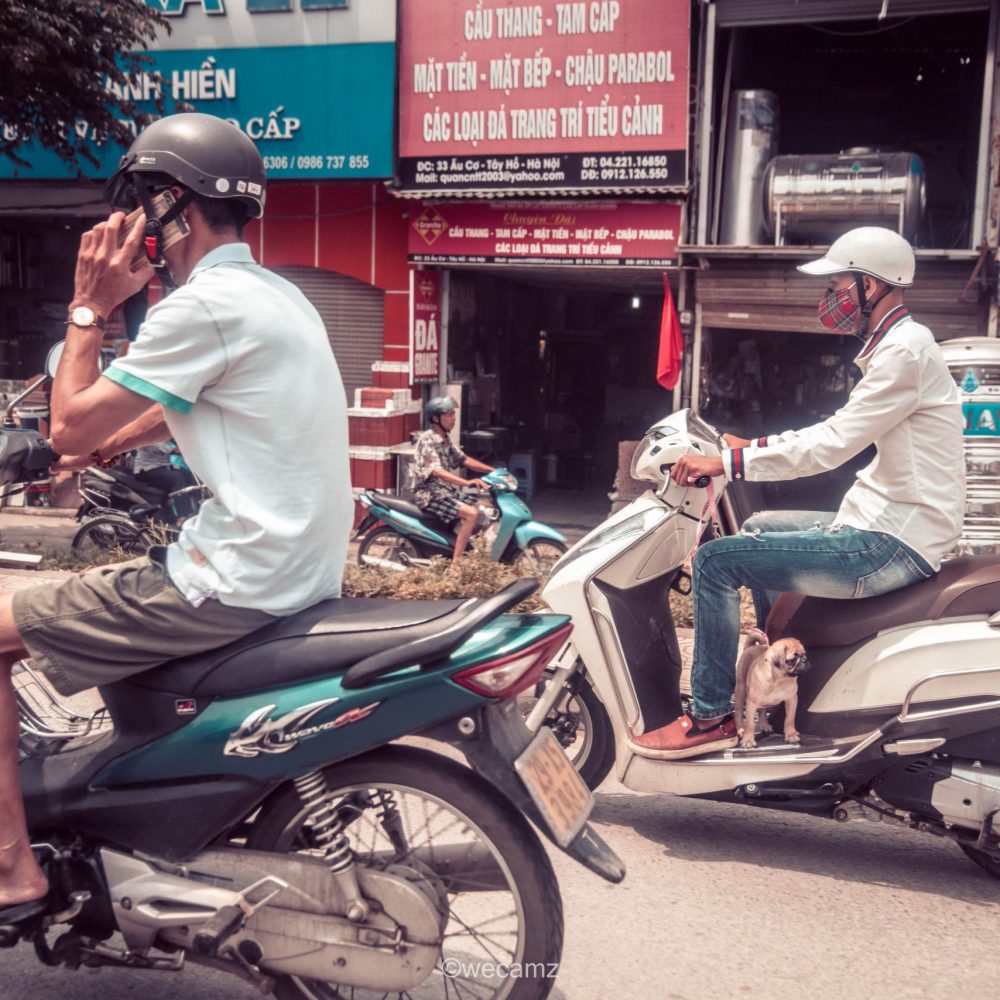 wecamzpage (39 von 662)