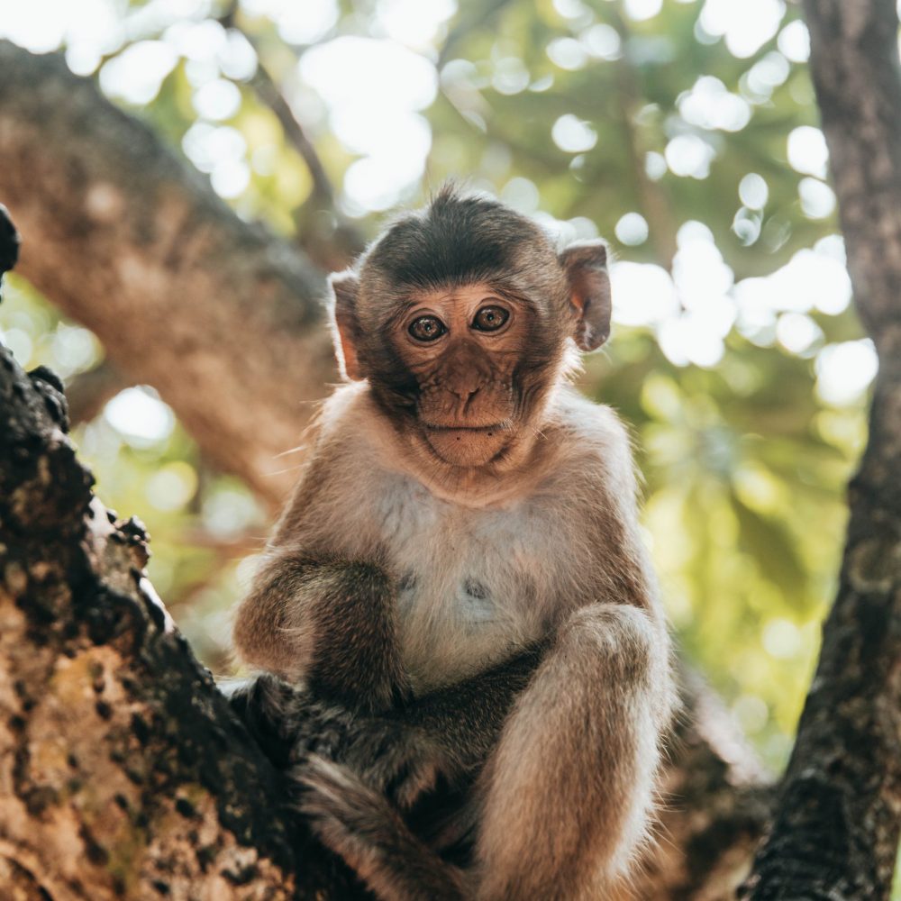 wecamzpage (41 von 662)