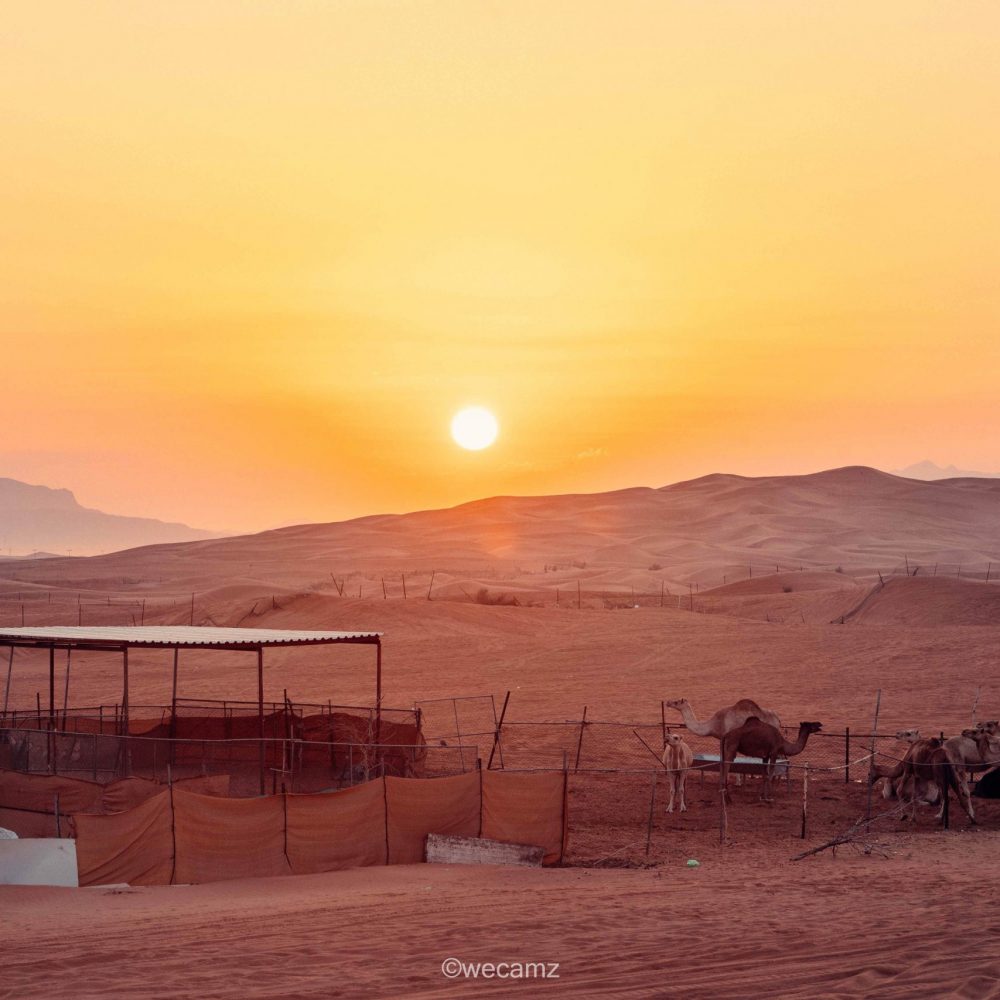 wecamzpage (427 von 662)