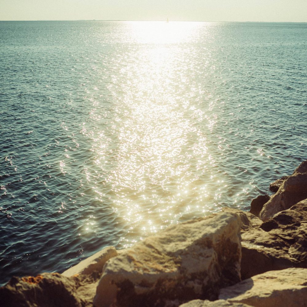 wecamzpage (630 von 662)